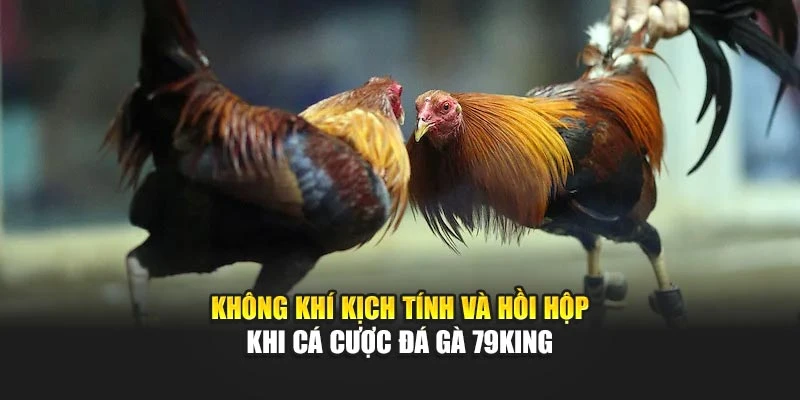 Không khí kịch tính và hồi hộp khi cá cược đá gà 79KING