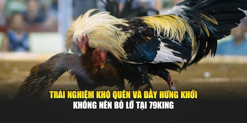 Trải nghiệm khó quên và đầy hứng khởi không nên bỏ lỡ tại 79KING